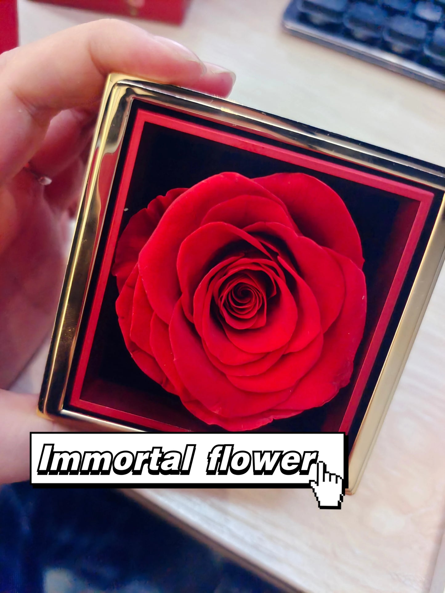 Eternal Rose Box with Custom Envelope Necklace Gift Set