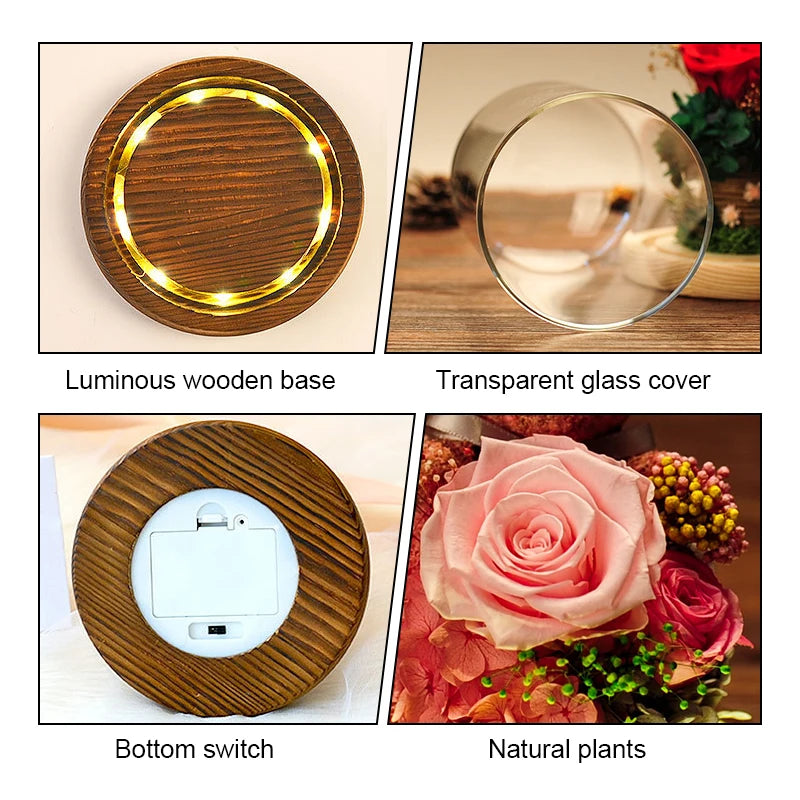 Eternal Preserved Rose in Glass Dome with LED Lights