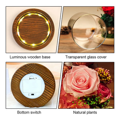 Eternal Preserved Rose in Glass Dome with LED Lights