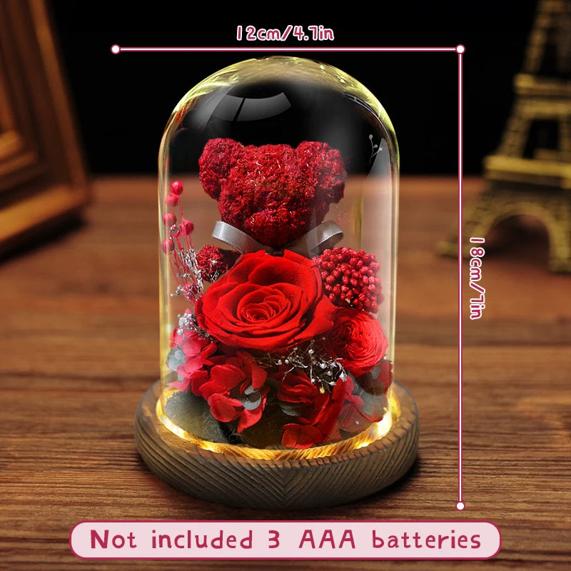 Eternal Preserved Rose in Glass Dome with LED Lights