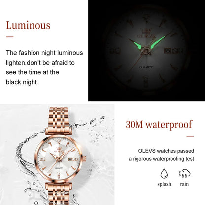 OLEVS 5536 Women's Luxury Watch - Sapphire Crystal, Zircon Scale, Chronograph, Waterproof