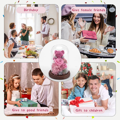 Eternal Preserved Rose in Glass Dome with LED Lights