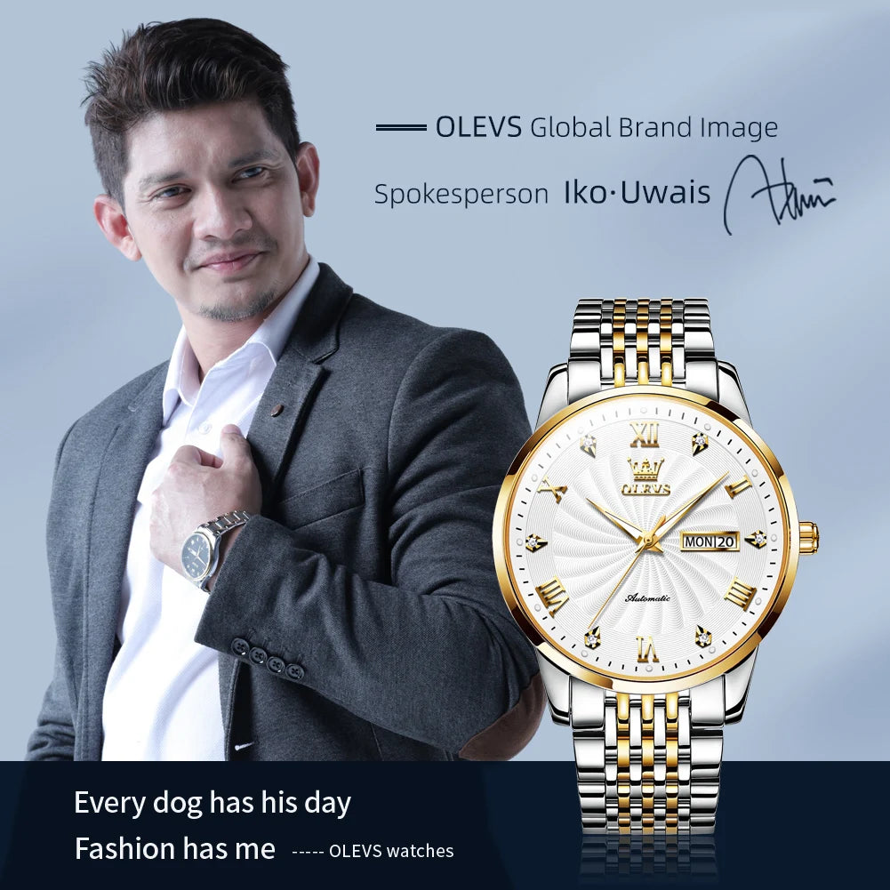 OLEVS 6630 Men's Watch - Automatic Mechanical, Threaded Dial, Waterproof, Stainless Steel, Luxury