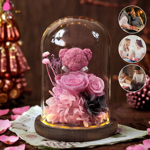 Eternal Preserved Rose in Glass Dome with LED Lights