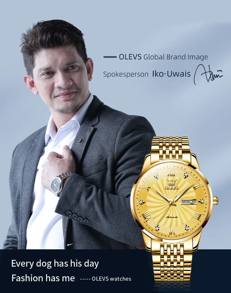 OLEVS 6630 Men's Watch - Automatic Mechanical, Threaded Dial, Waterproof, Stainless Steel, Luxury