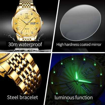 OLEVS 6630 Men's Watch - Automatic Mechanical, Threaded Dial, Waterproof, Stainless Steel, Luxury